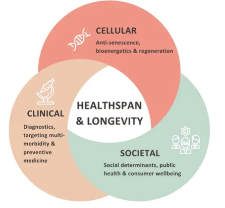 Longevity Medicine